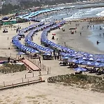 Turipaná 209